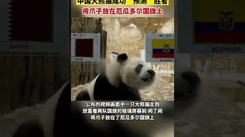 沃尔夫斯堡迎战斯图加特：德甲第22轮焦点战