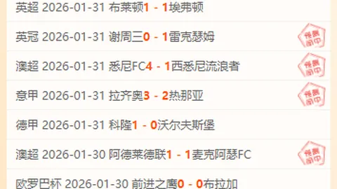 “14日双子座流星雨闪耀夜空，源自小行星引力”