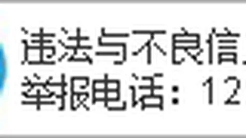 博洛尼亚对决维罗纳，意甲比分解析